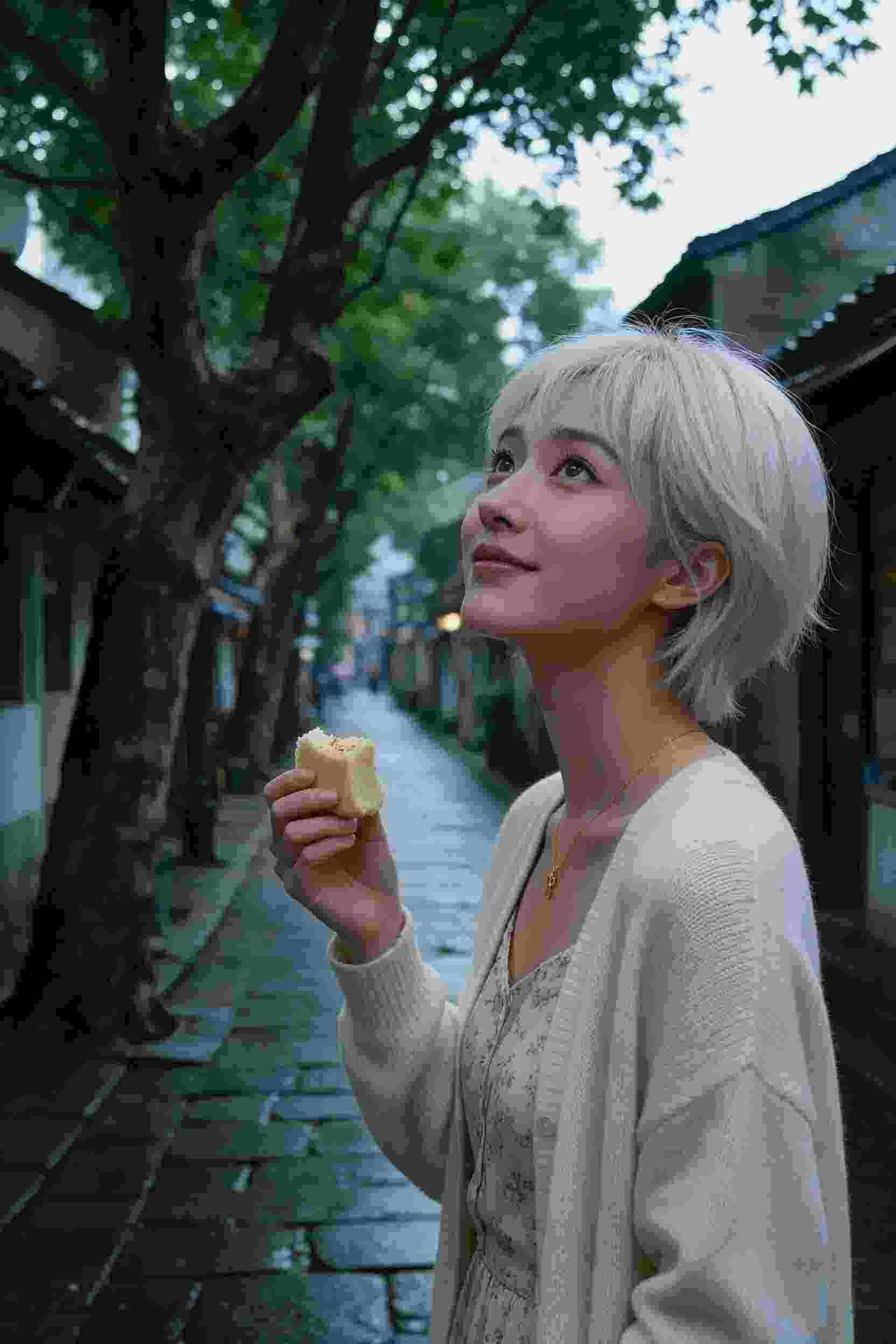 校园往事