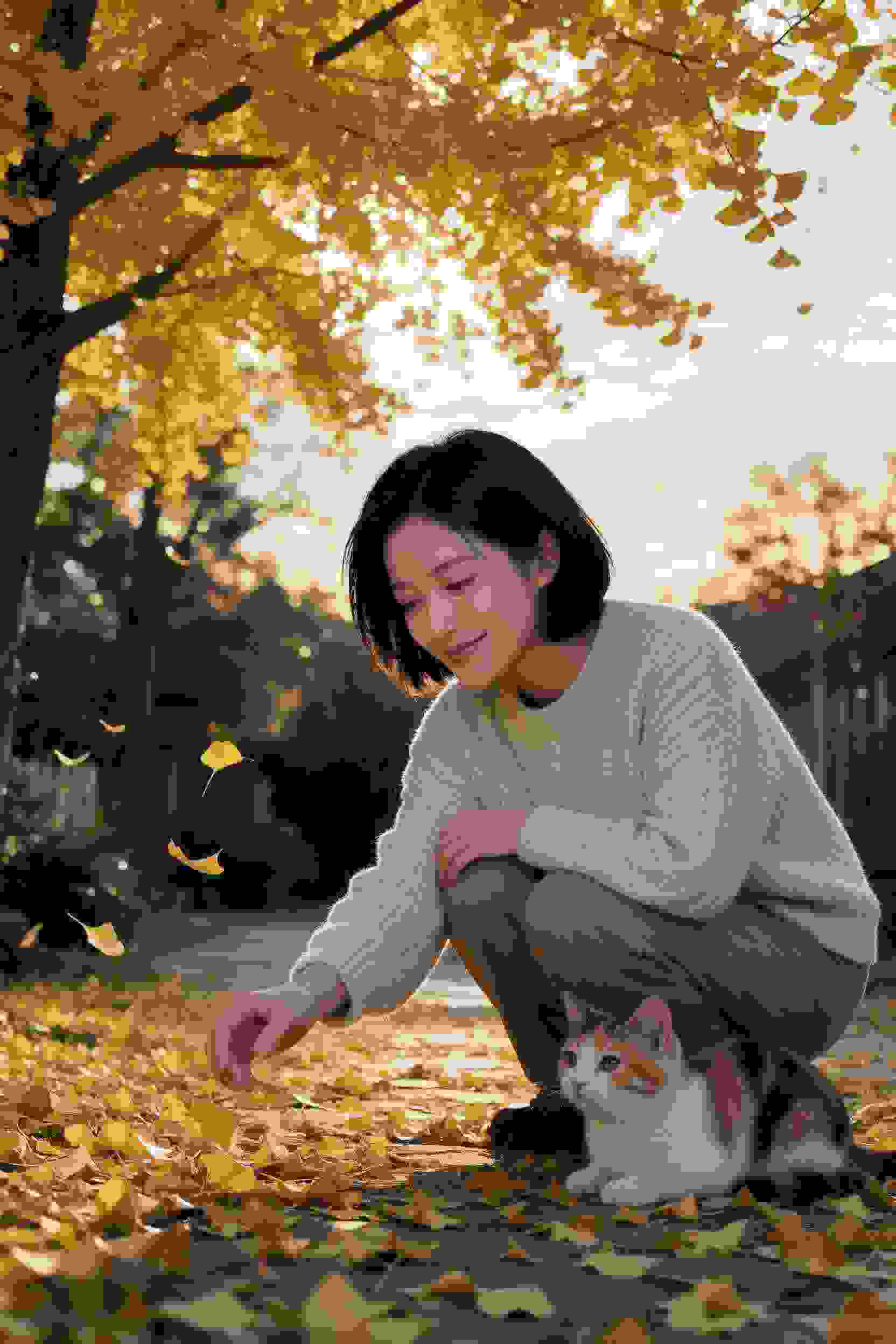 排球少年